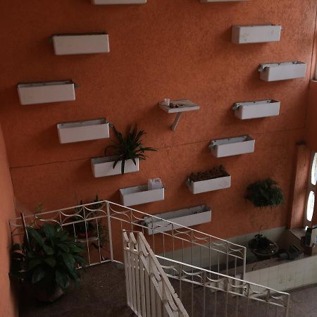 Casa Da Camilla Hotel Guarulhos Ngoại thất bức ảnh